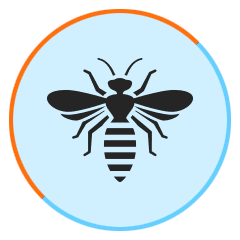 bee Pest Fumigation South West