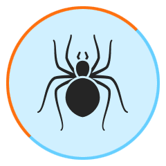 spider Pest Fumigation South West
